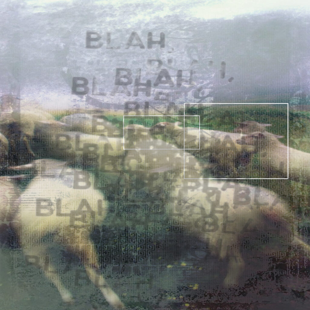 cover mouton