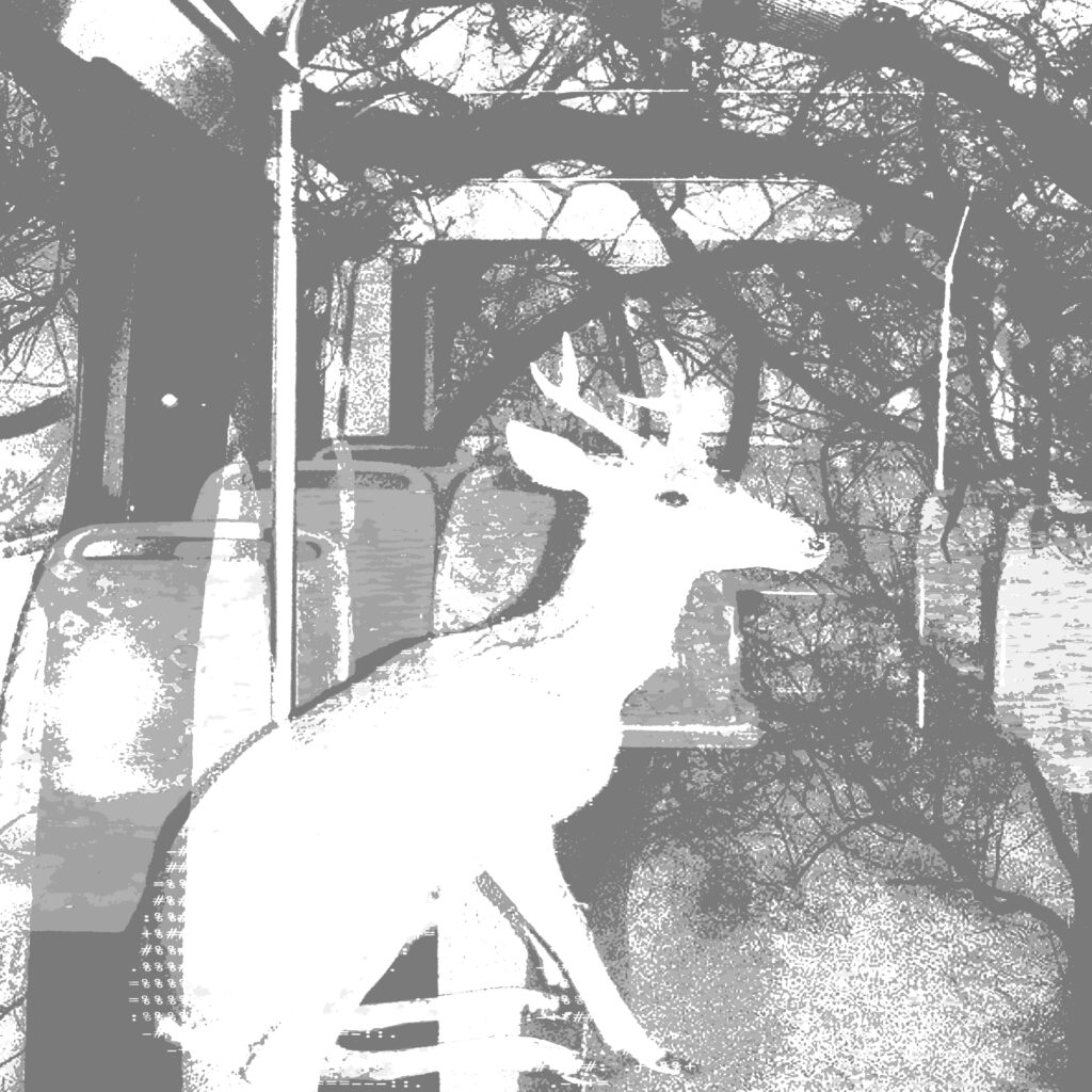 cover biche